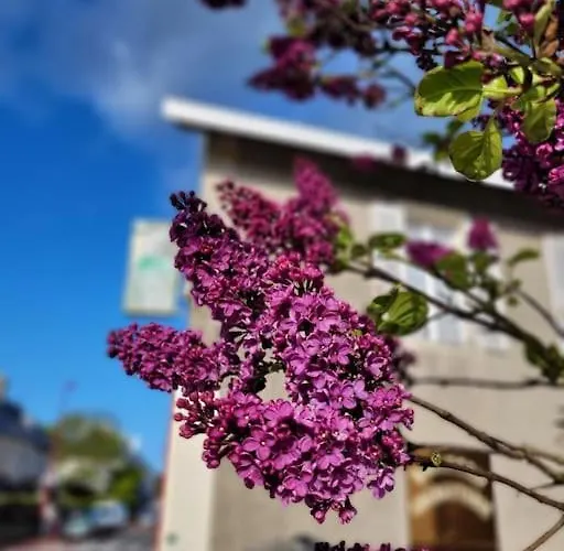 Moussette - Bord De - 4/6 Pers. Holiday home