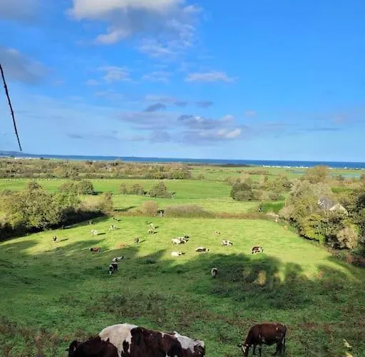 Moussette - Bord De - 4/6 Pers. 別荘